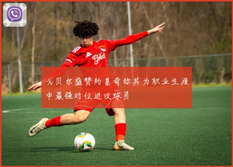 戈贝尔盛赞约基奇称其为职业生涯中最强对位进攻球员
